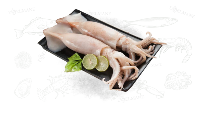 Calamars g