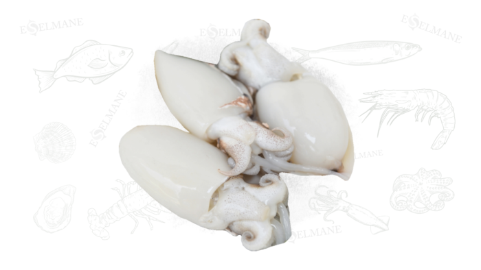 Calamars p