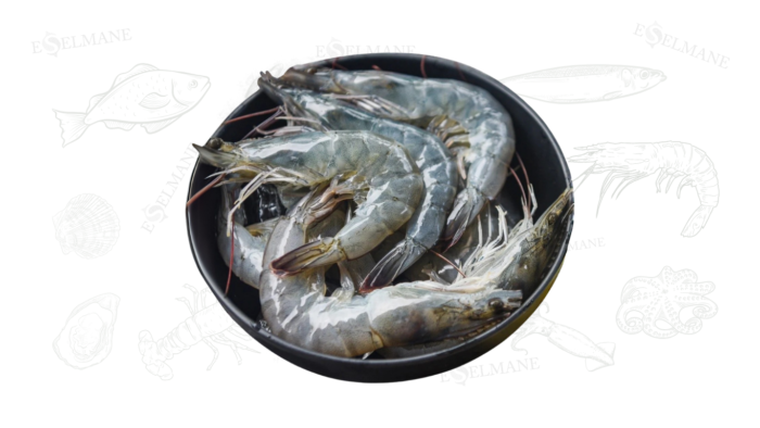 Crevettes grise