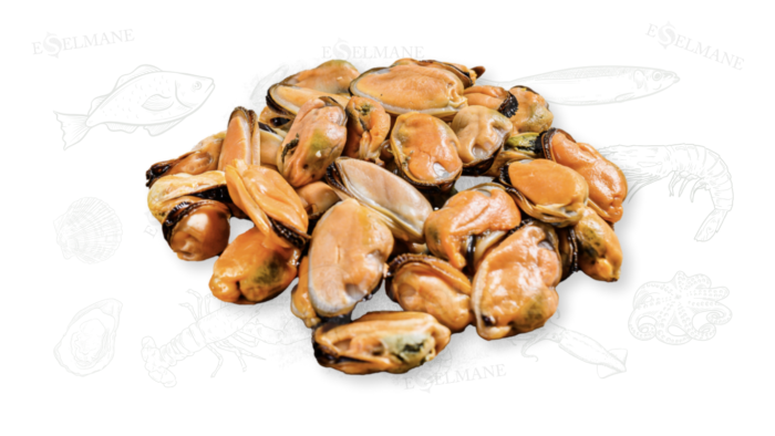 Moules décortiques. بلح البحر