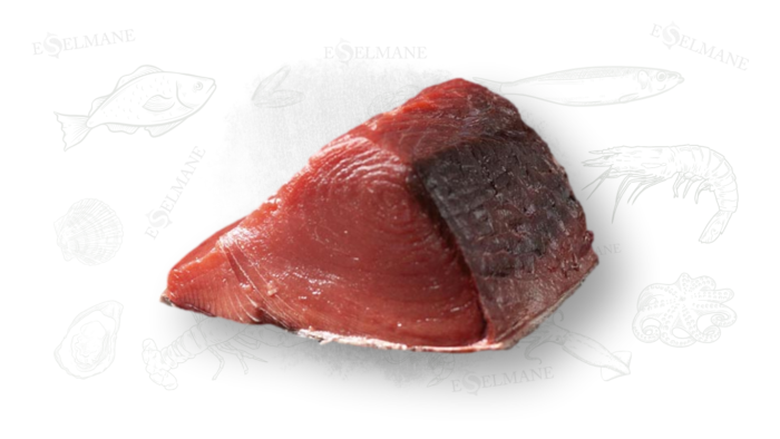 Thon rouge التونة الحمراء